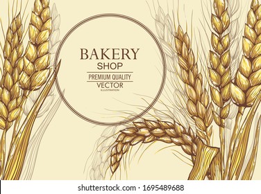 Vector hand drawn wheat ears set.
Farm field illustration. For packing.Bunch of grain barley.Banner design. Barley illustration in vintage style. Wheat grain, granule, kernel, corn, rye, barley, oats