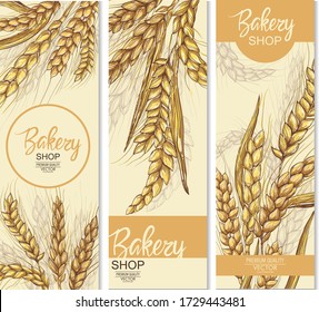 Vector hand drawn wheat ears set.
Farm field illustration. For packing.Bunch of grain barley.Banner design. Barley illustration in vintage style. Wheat grain, granule, kernel, corn, rye, barley, oats