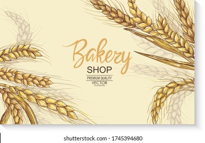 Vector hand drawn wheat ears set.
Farm field illustration. For packing.Bunch of grain barley.Banner design. Barley illustration in vintage style. Wheat grain, granule, kernel, corn, rye, barley,oats