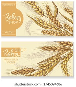 Vector hand drawn wheat ears set.
Farm field illustration. For packing.Bunch of grain barley.Banner design. Barley illustration in vintage style. Wheat grain, granule, kernel, corn, rye, barley,oats