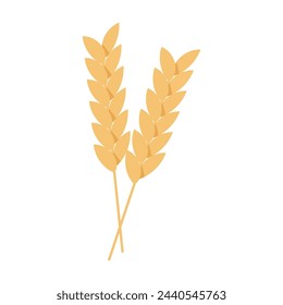 vector hand drawn wheat on white background.