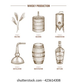 Vector hand drawn whisky production elements.