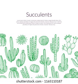 Vector hand drawn wild cacti plants background with place for text illustration. Cactus plant wild, succulent exotic cacti illlustration