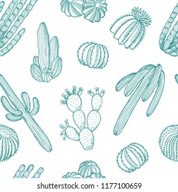 Vector hand drawn wild green cacti plants pattern or background illustration