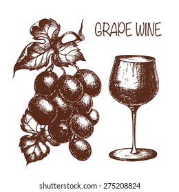 Vector Hand Drawn Wine Background