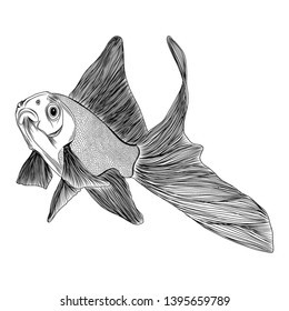 vector hand drawn wish fish