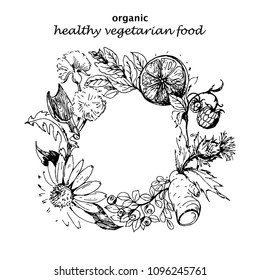 Vector hand drawn wreath with healthy and medicinal herbs, vegetables and berries. Botanical nature Illustration in sketch style for print, wrapping, menu, card. Line art