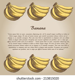 vector hand drown banana