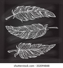 Vector hand drown patterned feathers in zendoodle style on a chalkboard background.