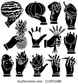 Vector hand with fruit silhouettes set