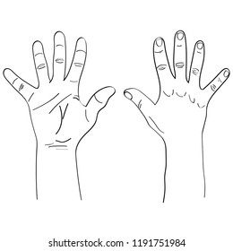 
Vector hand gesture with placed fingers. Hand in front and behind.