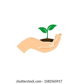 vector hand holding a green young plant isolated on white background