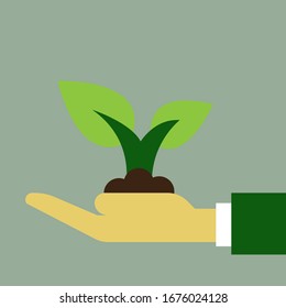 vector hand holding a green young plan