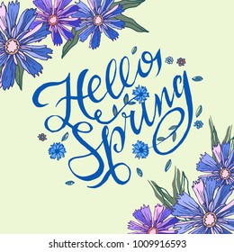vector hand lettering greetings text - hello spring with doodle flowers,