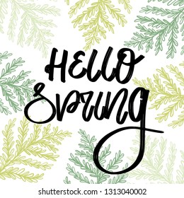 Vector hand lettering illustration. Hello Spring calligraphy with branches of fern. Design composition with typography elements