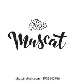 Grabado de la mano vectora de Musca, una variedad de uva, para el diseño de iconos de logotipo. Ilustración de vino blanco, postal, tarjeta, invitación, saludo, cartel, pancarta de vinos del restaurante, menú. EPS 10