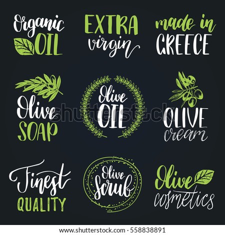 Vector hand lettering olive production logos or signs. Retro sketched extra virgin oil illustrations set for farm or cosmetics produce, packaging badges, tags, cafe, stores design etc.