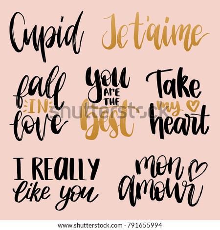 Vector hand lettering phrases Take My Heart, I Really Like You etc. February 14 calligraphy set on pink background. Valentines day typography.