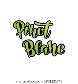 Grabado de la mano vectora del Pinot Blanc (significa variedad de uva) como logotipo, icono, diseño. Ilustración de vino blanco, postal, tarjeta, invitación, saludo, cartel, pancarta de vinos del restaurante, menú. 