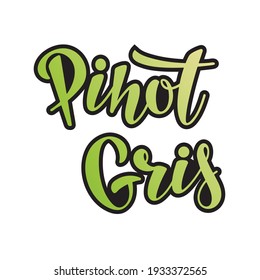 Vector hand lettering of Pinot Gris (means grape variety) as logotype, icon, design. White wine illustration, postcard, card, invitation, greeting, poster, banner for restaurant wine list menu. EPS 10