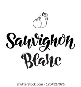 Grabado de la mano vectora de Sauvignon Blanc (significa variedad de uva) como logotipo, icono, diseño. Ilustración de vino blanco, postal, tarjeta, invitación, saludo, póster, banner para la carta de vinos del restaurante