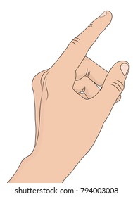 Vector hand on white background