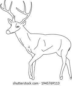 Ilustración de doodle gráfico pintado a mano vectorial con el contorno negro animal de ciervo salvaje sobre el fondo transparente para elementos de diseño