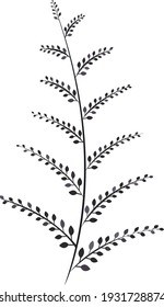 Vektorhandbemalte grafische Naturgrafik mit zerbräunlicher, violetter Zweig-Komposition auf transparentem Hintergrund für Design-Elemente