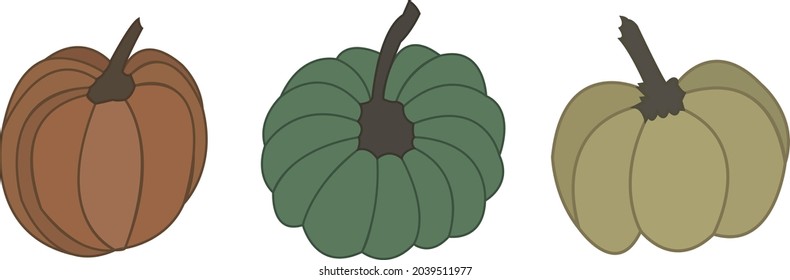 Vector hand painted nature autumn plants illustration graphic set with orange, yellow and green contour pumpkins collection isolated on the white background 