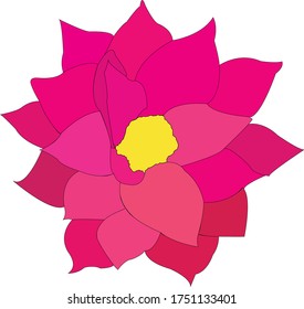 Vector hand painted nature floral contour illustration with pink petals and yellow center lotus asian flower graphic elements on the white background
