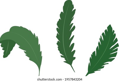 Vector hand painted nature graphic plants set with green tropical palm leaves illustration composition isolated on the transparent background for design elements