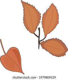 Plantas de otoño gráficas de naturaleza pintadas a mano con vectores fijadas con hojas rojas anaranjadas en la colección de ramas aisladas en el fondo transparente para elementos de diseño