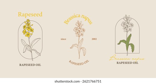 Vektorgrafik handgemalte Raps Blume Pflanze Illustration. Moderne einfache Umrisssymbole, handgezeichnete Skizze, modernes einfaches Logo-Design