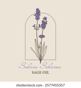 Vector hand painted salvia sage flower plant illustration. Modern simple outline icons, hand drawn sketch, modern simple logo design