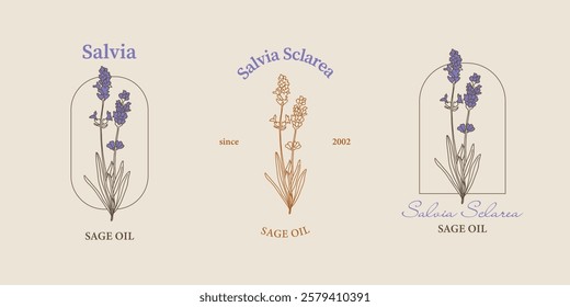 Vector hand painted salvia sage flower plant illustration. Modern simple outline icons, hand drawn sketch, modern simple logo design