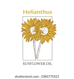 Vector hand painted sunflower oil plant illustration. Modern simple outline icon, hand drawn sketch, modern simple logo design