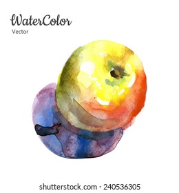 Vector hand painting abstract watercolor apple illustration. Eps10