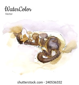 Vector hand painting abstract watercolor sleeping cat illustration. Eps10