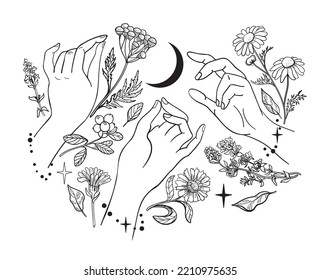 Vector hand print on a white background: magic, moon, women's hands, plants, calendula, chamomile, tansy, thyme. Tattoo, sticker, icon on the theme of feminism, herbalism, mysticism.