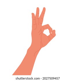 Vector hand showing ok. Illustration isolated on white background. 