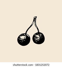 Vector hand sketch cherries. Retro illustration.
