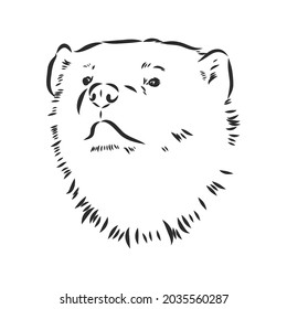 dibujo de dibujo de la mano vectorial ilustración de un lobverino hecho en blanco y negro