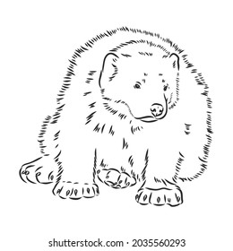 vector hand sketch drawing illustration of a wolverine done in black and white