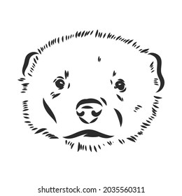 dibujo de dibujo de la mano vectorial ilustración de un lobverino hecho en blanco y negro