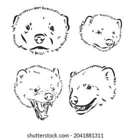vector hand sketch drawing illustration of a wolverine done in black and white