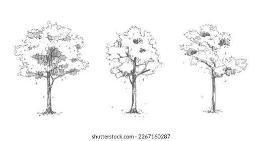 Vector hand sketch tree set. Perfect for landscape architecture illustrations