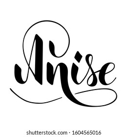 Vector hand written anise text isolated on white background. Kitchen healthy herbs and spices for cooking. Script brushpen lettering with flourishes. Handwriting for banner, poster, product label