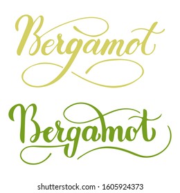 Vector hand written bergamot text isolated on white background. Kitchen healthy herbs and spices for cooking. Script brushpen lettering with flourishes. Handwriting for banner, poster, product label