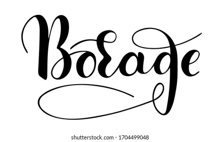 Vector hand written borage text isolated on white background. Kitchen healthy herbs and spices for cooking. Script brushpen lettering with flourishes. Handwriting for banner, poster, product label