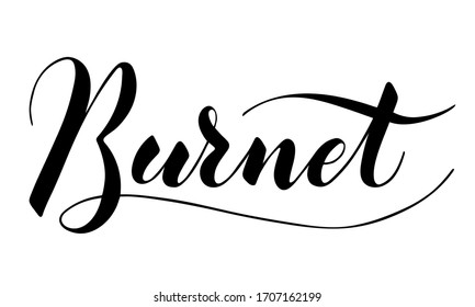 Vector hand written burnet text isolated on white background. Kitchen healthy herbs and spices for cooking. Script brushpen lettering with flourishes. Handwriting for banner, poster, product label